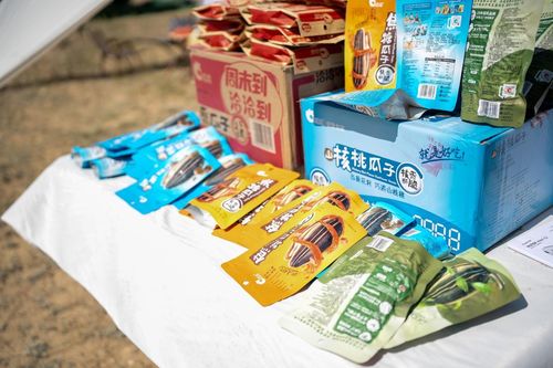 洽洽阿勒泰葵花节 全产业链溯源之旅，联农带农助农增收，融合乳制品创新